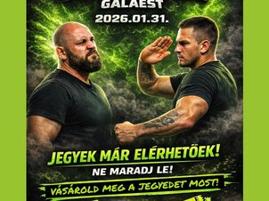 IV. ARBITO SLAP FIGHT Box, MMA Gala