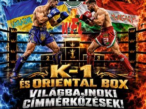 Fight Zone Pro & Elite ICO