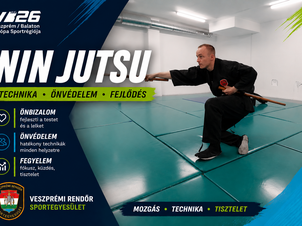 VRSE Ninjutsu