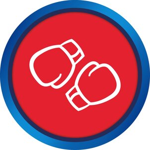 Vasas–Süllős Boxing Team