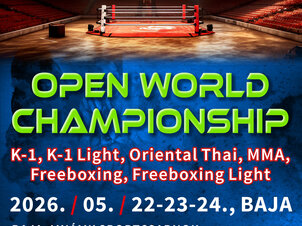 WFC Open World Championship, Freeboxing, Oriental-Thai, Freeboxing Light, K-1 Light, MMA